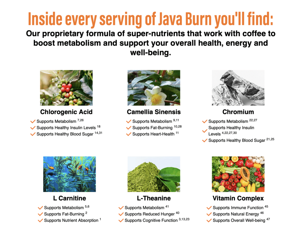 Java Burn Ingredients